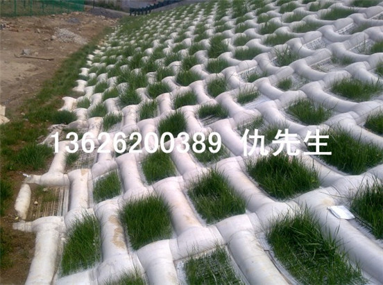 無錫生態模袋護坡.jpg