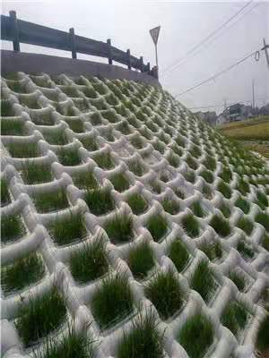 生態(tài)模袋護坡
